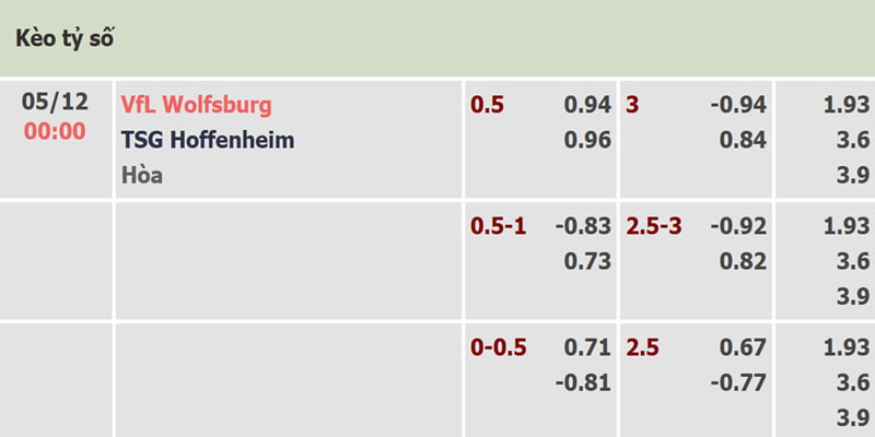 Ví dụ kèo chấp nữa trái trong trận VfL Wolfsburg và TSG Hoffenheim